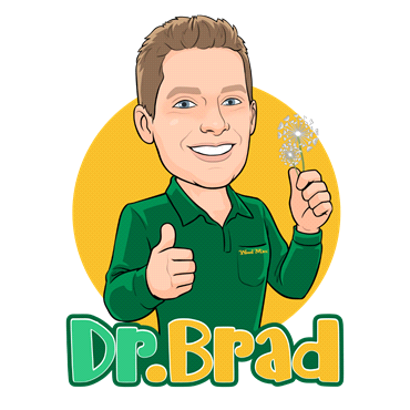 Turf Talk With Dr. Brad